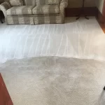 Carpet Cleaning