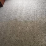 Carpet Cleaning
