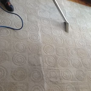 Carpet Cleaning / Nettoyage tapis